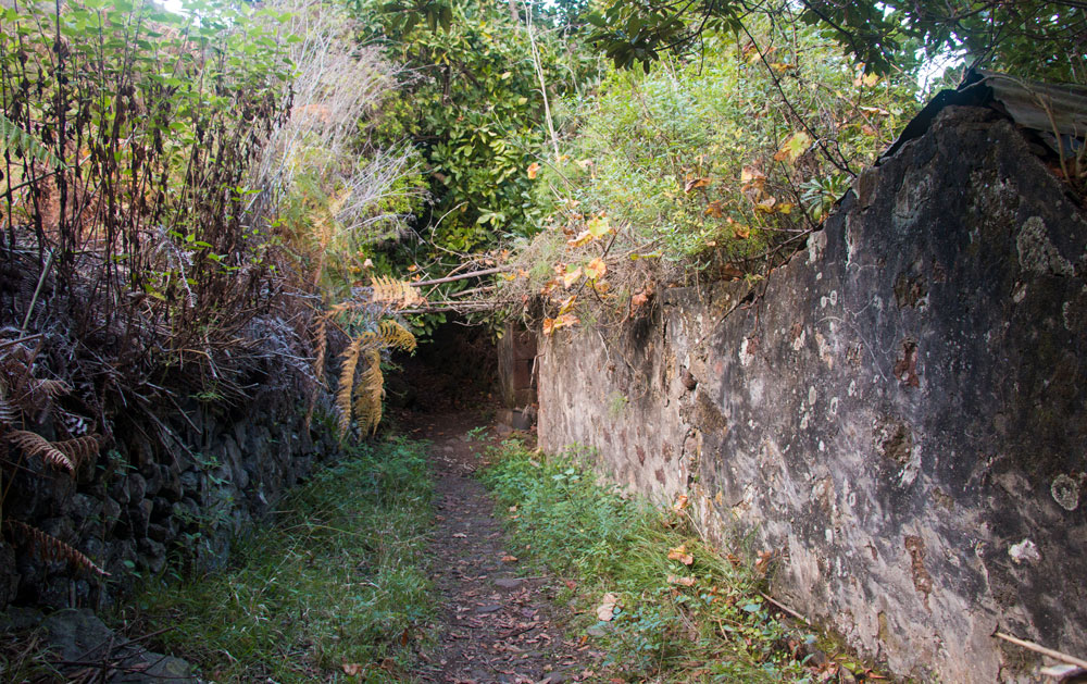 hiking path at the ruins of Cuevas Negras