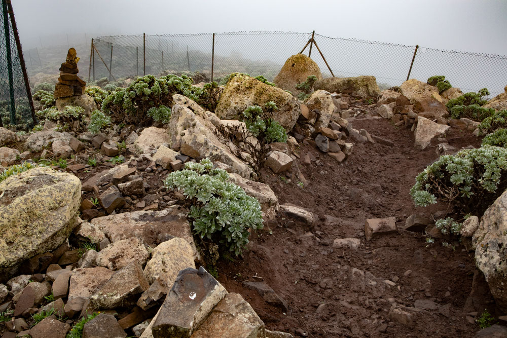 path to the summit along the fence