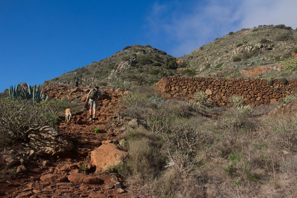 path between Mirador Agulo and Mirador Abrante