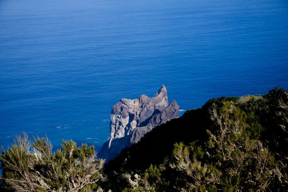 Roque de los Órganos