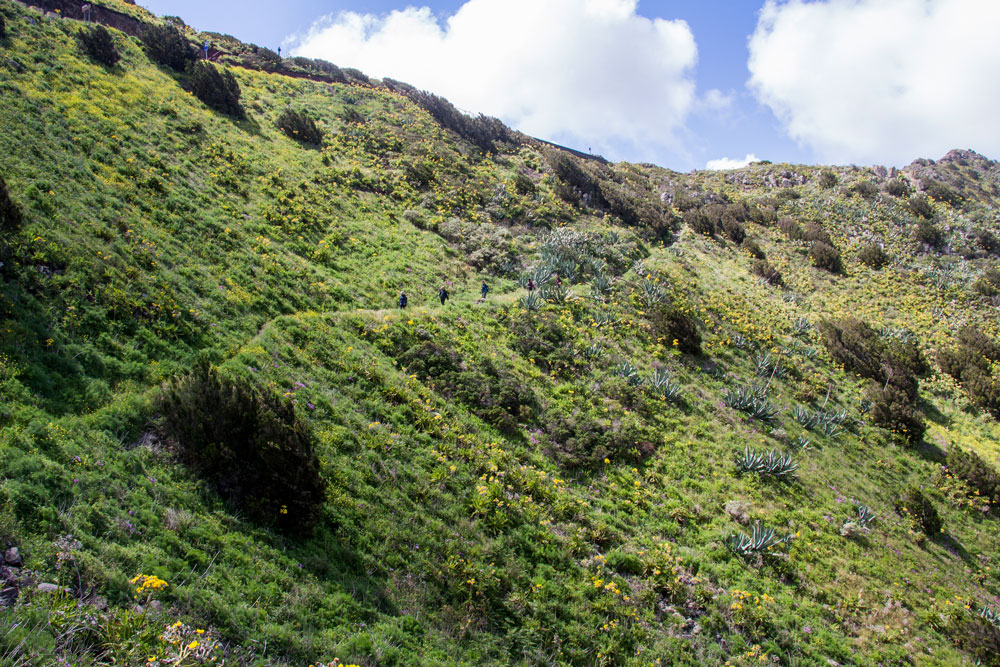 hiking path at the sloop to Mirador Baracán