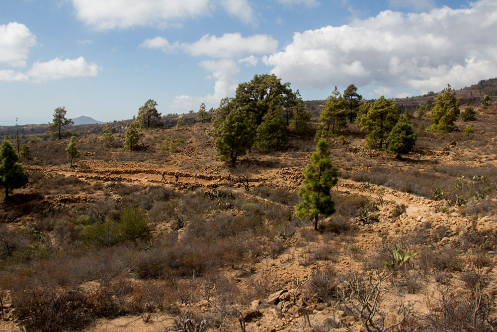 hiking path Las Vegas