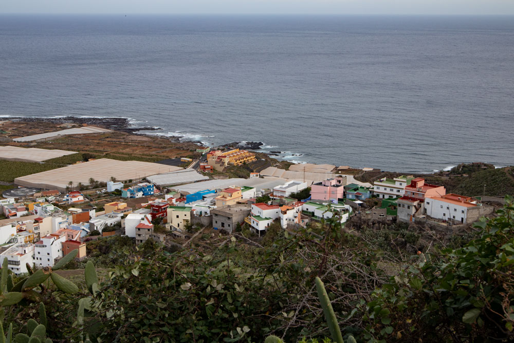 view to Punta del Hidalgo