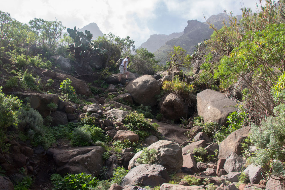 ascent Risco Steig through the stony barranco