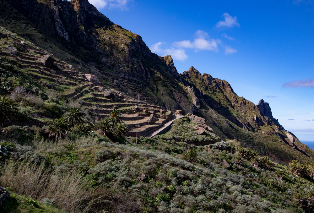 terraced fields on the mountain slopes