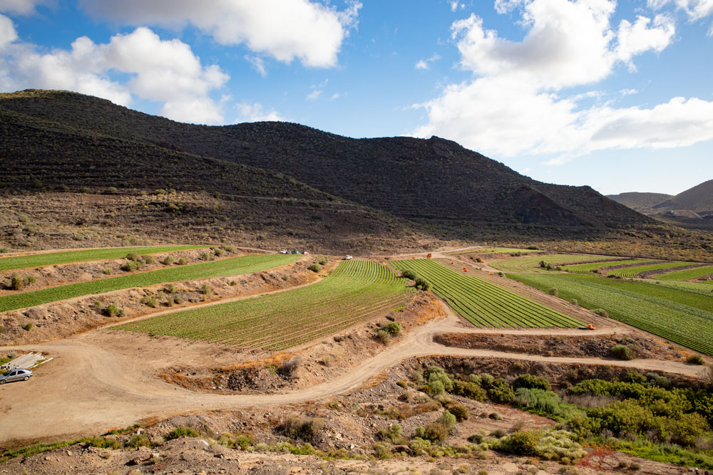 fields around Aldea Blanca