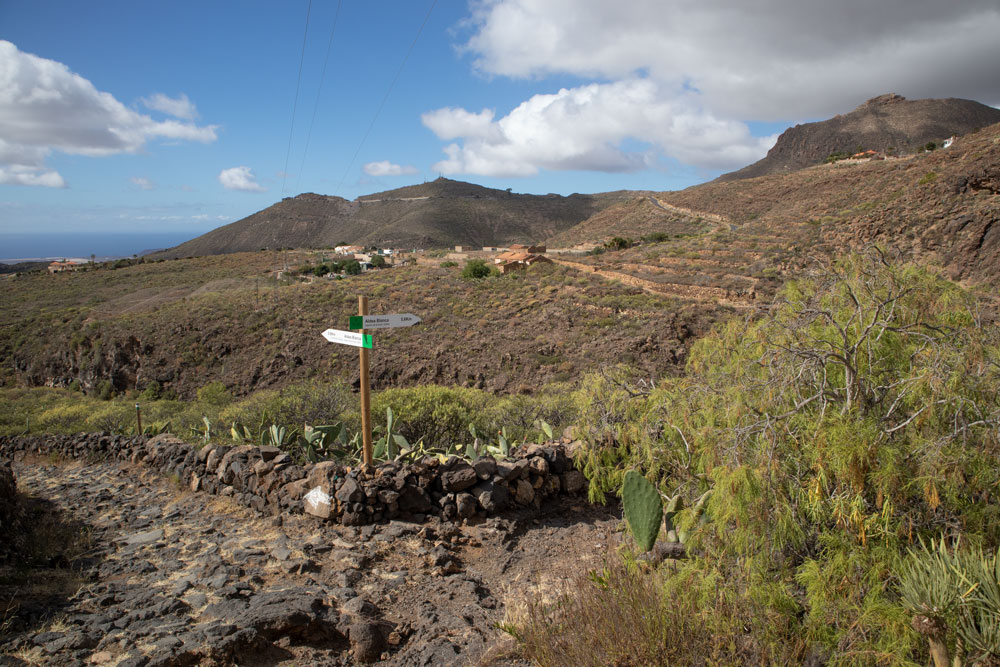 hiking path junction - lefthand the way back