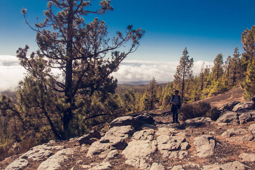 hiking path above the clouds