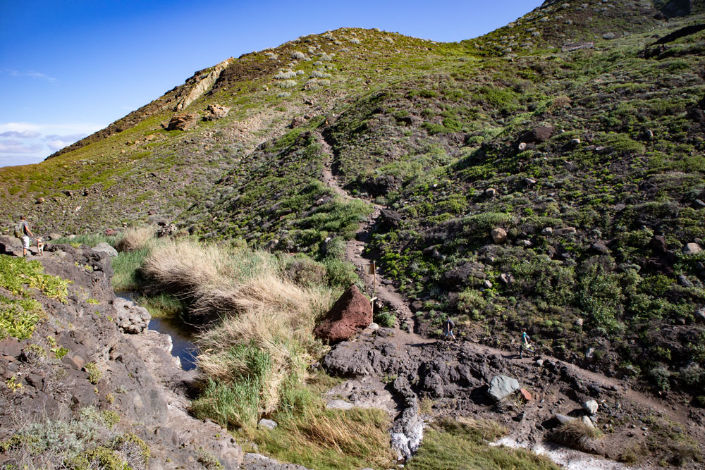 junction hiking trail with waterholes  and reed