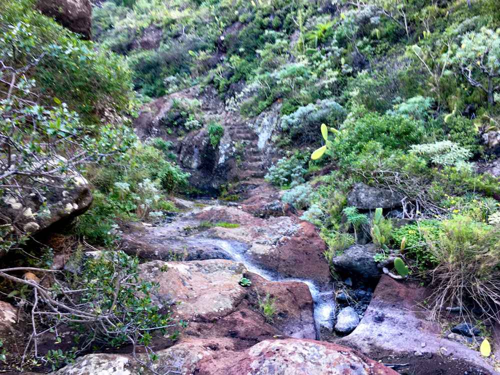 path through the Barranco back to Taborno