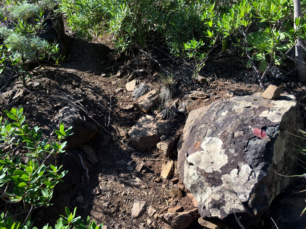 narrow hiking trail