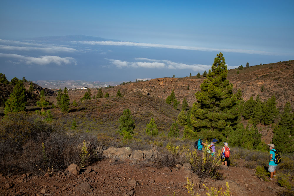 Senderismo en Tenerife - en las laderas de la costa suroeste