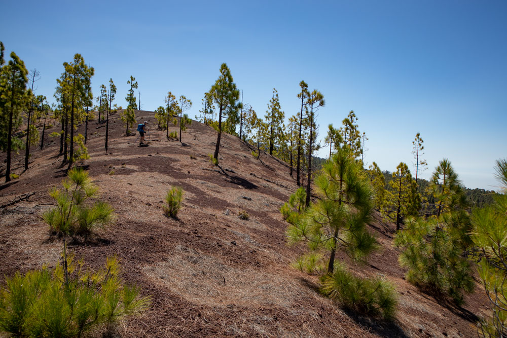 ridge of the Montaña de las Cuevitas