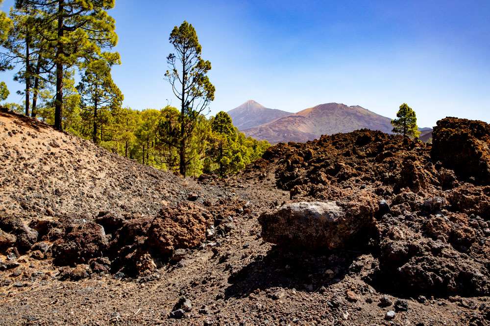 View on Mount Teide and Pico Viejo