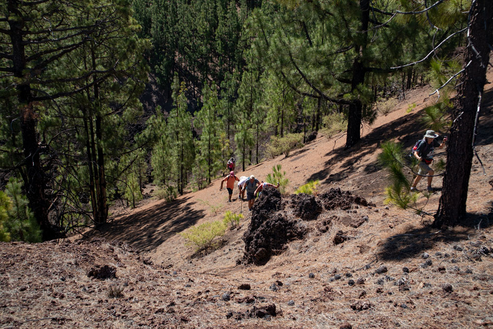 steep slope at the Montaña de las Cuevitas