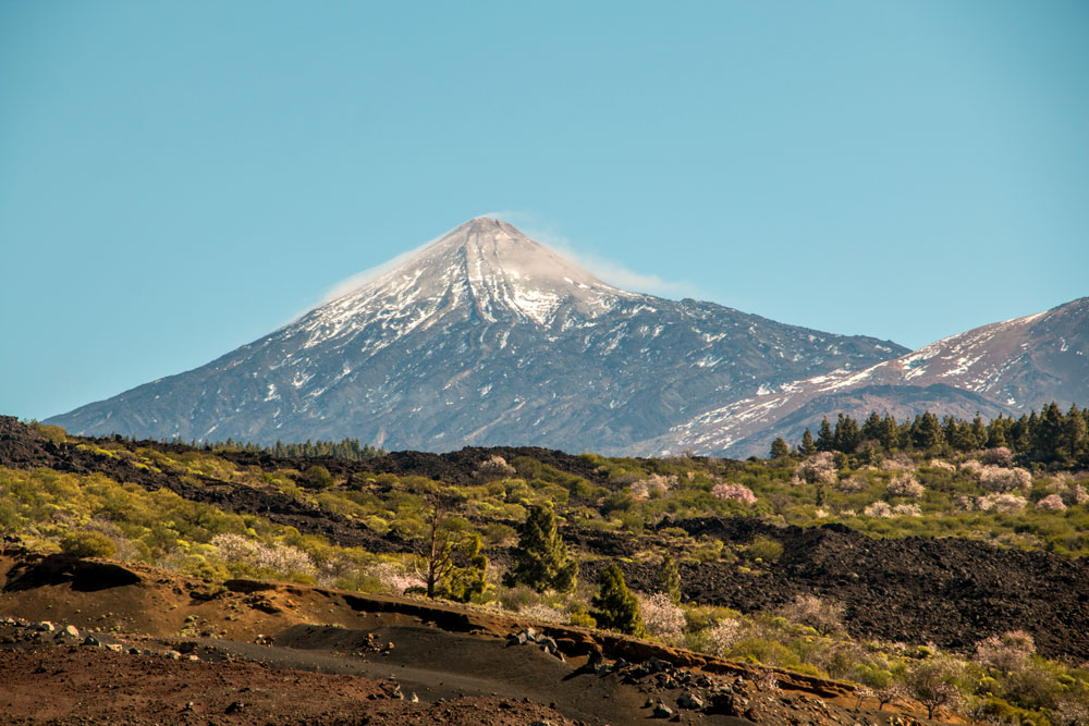 view on Mount Teide with almond trees
