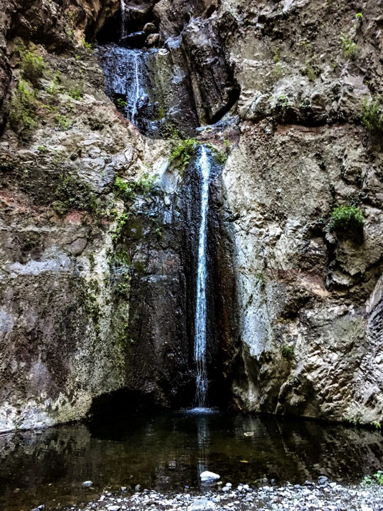 Tenerife hiking - Barranco del Infierno