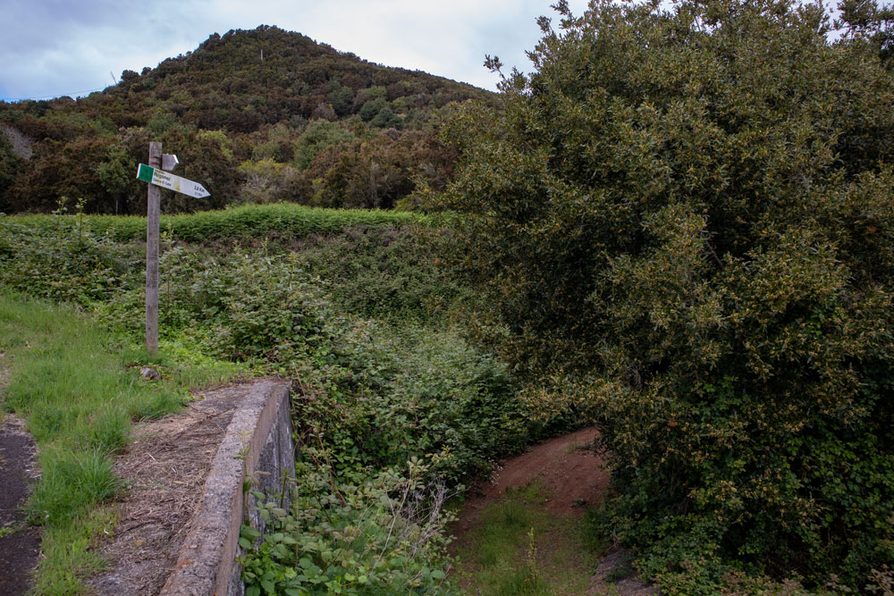 Wanderweg durch viel Grün