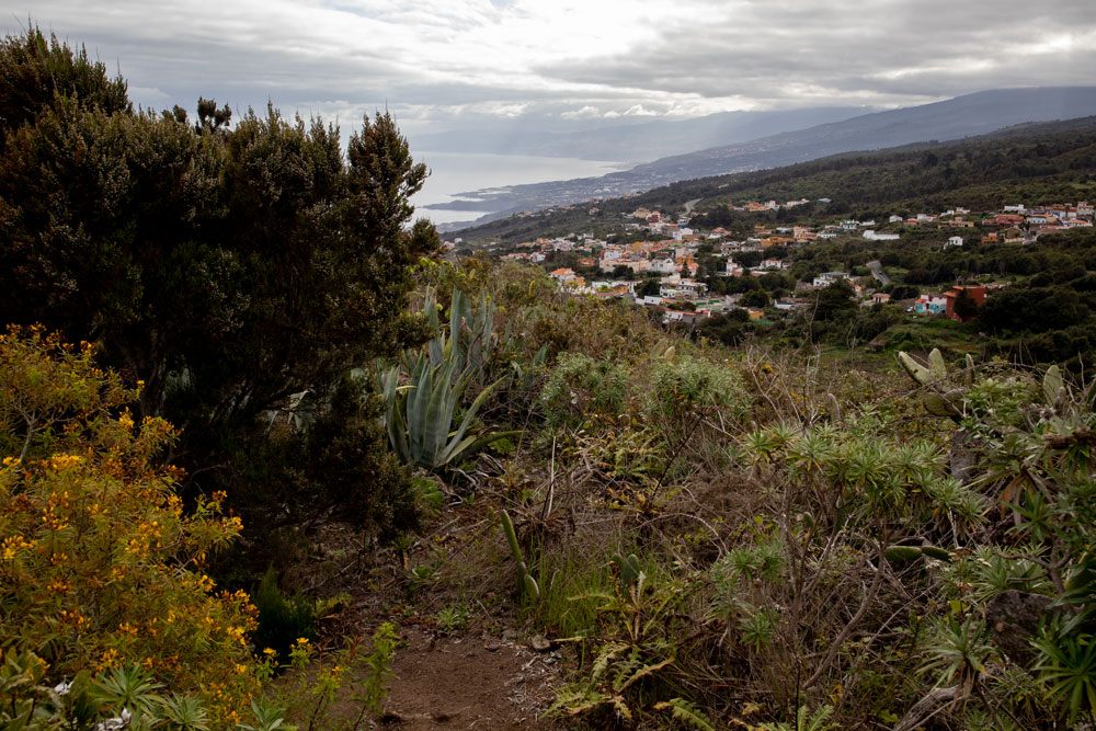 Wanderweg auf dem Grat über dem Barranco Hondo - Lomo de Molíno