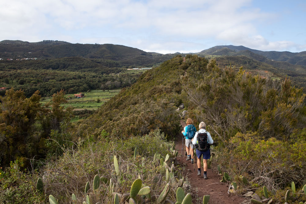 Hiking path over the ridge of Lomo de Lisa