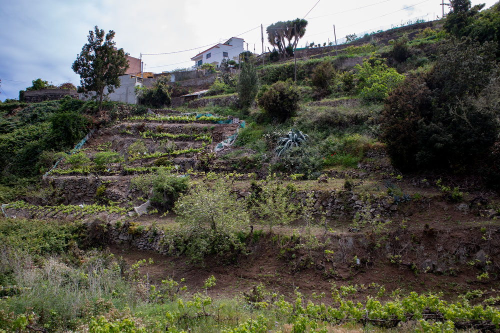 angelegte Terrassengärten in Tierra del Trigo