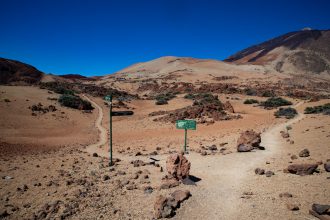 Gabelung großer Rundweg Montaña Blanca in der Nähe von El Portillo