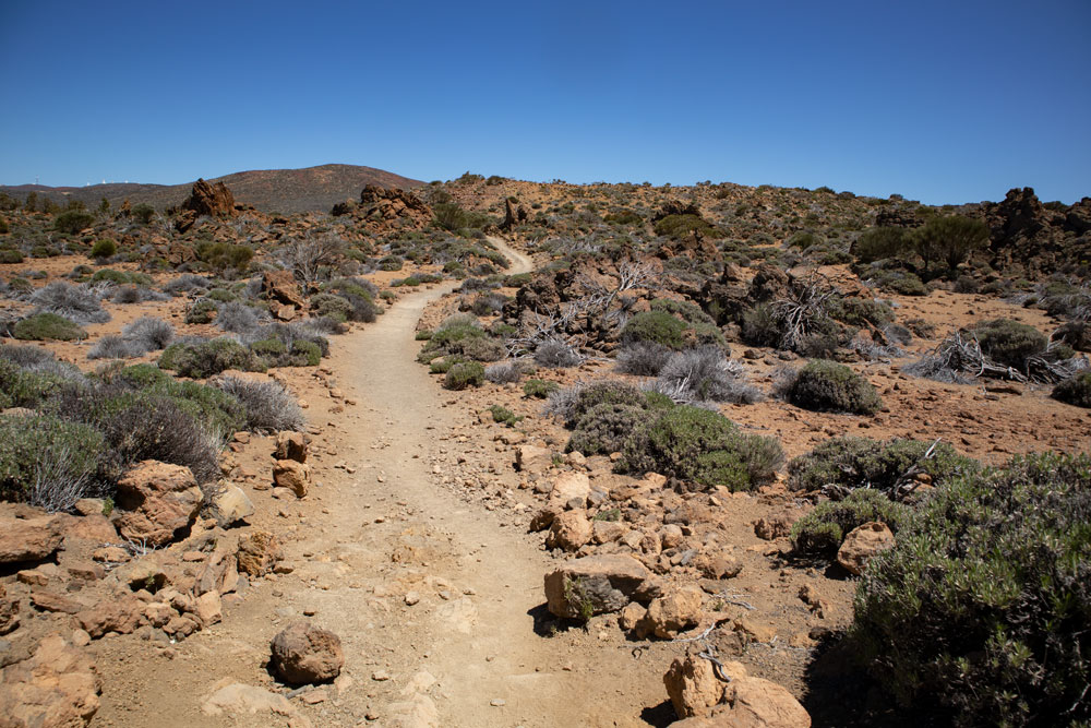 Wanderweg zurück nach El Portillo