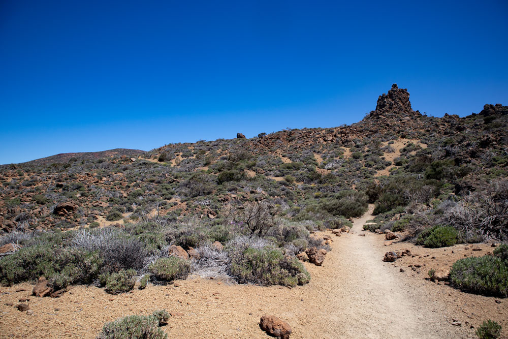 Wanderweg durch Büsche und über Felsen