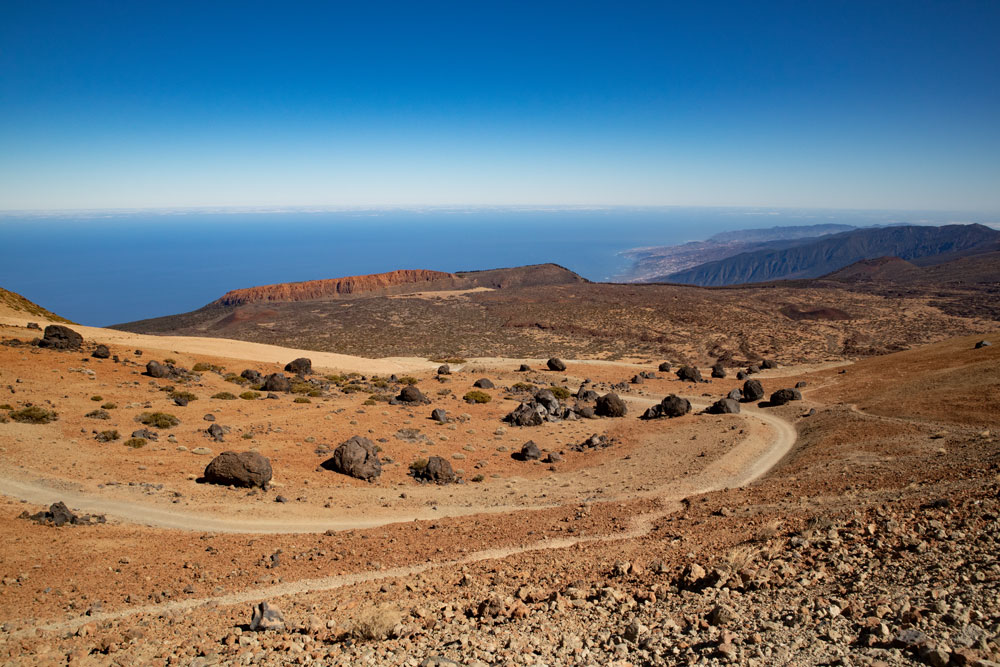 Teide Eier - huevos del Teide am Wegesrand