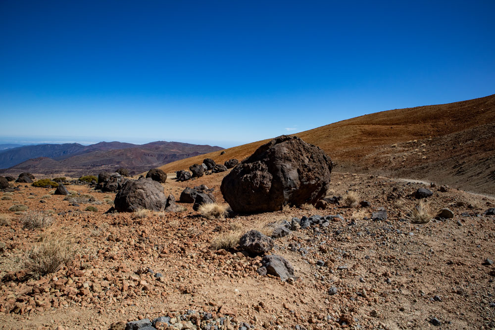 Teide Eier - huevos del Teide