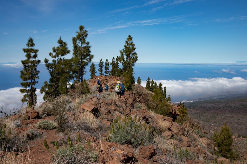 Gratwanderung hoch über der Südküste von Teneriffa
