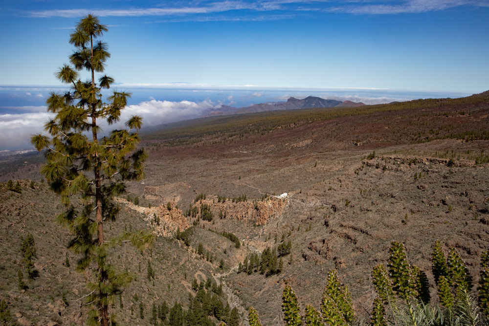Blick in den Barranco Mañoca