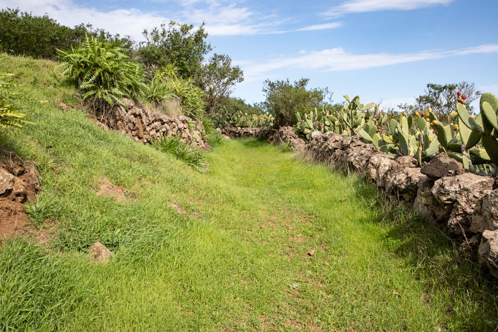 grüner Wanderweg vor La Cuesta