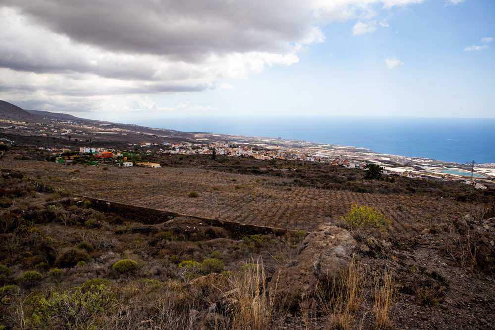 Blick auf Guía de Isora