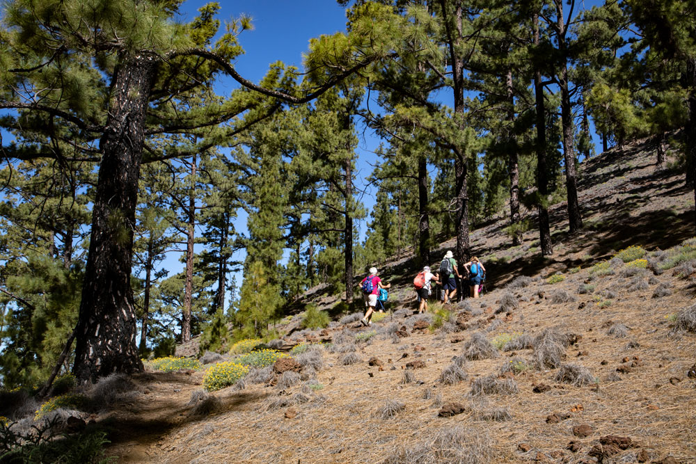 Steep up to the Montaña Corredera