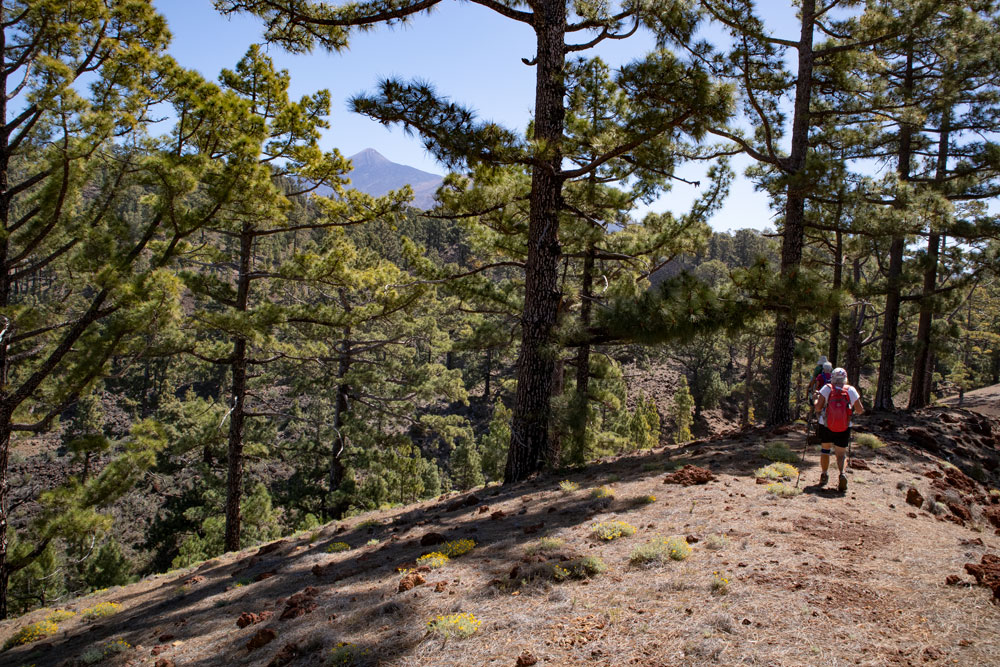 Gipfel der Montaña Corredera mit Blick auf den Teide