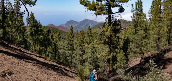 Wanderin auf dem Hangweg mit Blick zum Teno Gebirge