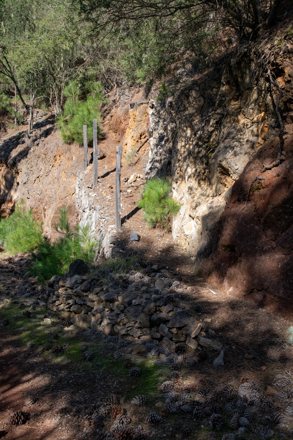 Abzweig steiler Wanderpfad