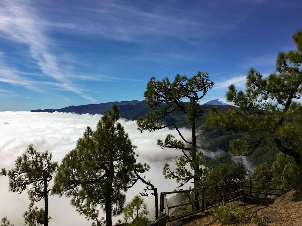 Aussicht über den Woken