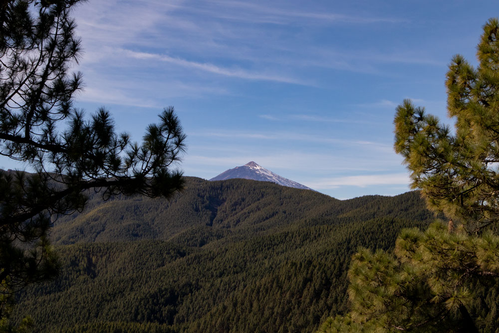 Blick auf den Teide aus der Höhe
