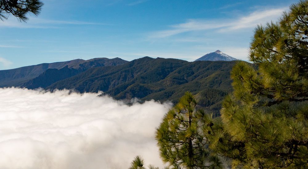 Blick auf den Teide und Wolken auf der Ostseite der Insel