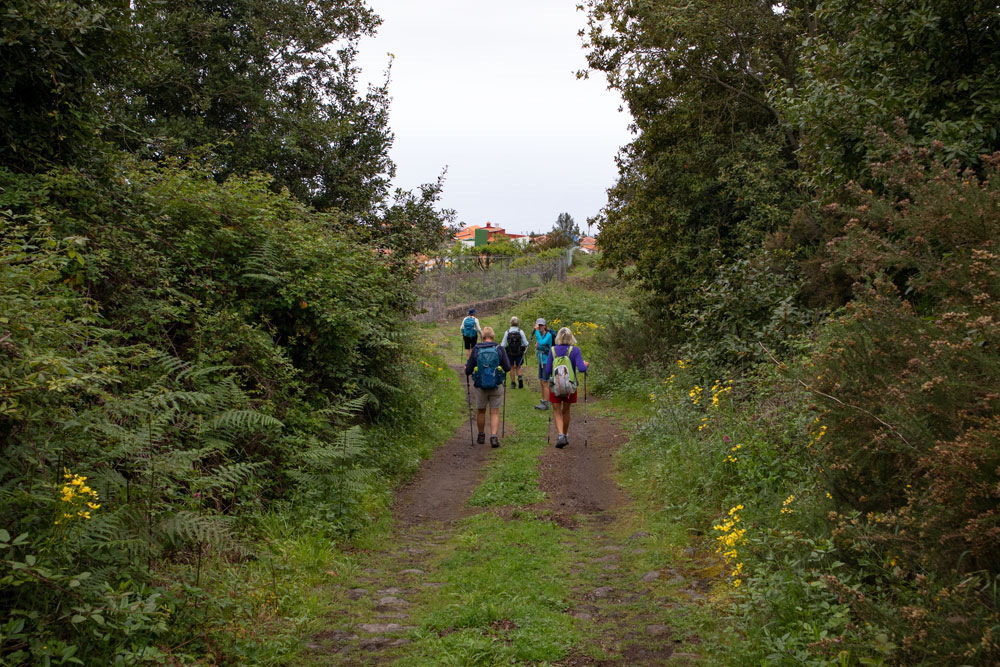 Wanderweg nach Cruz del Camino