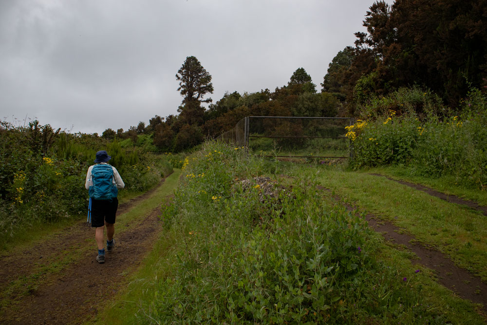 Wanderweg am Hang entlang