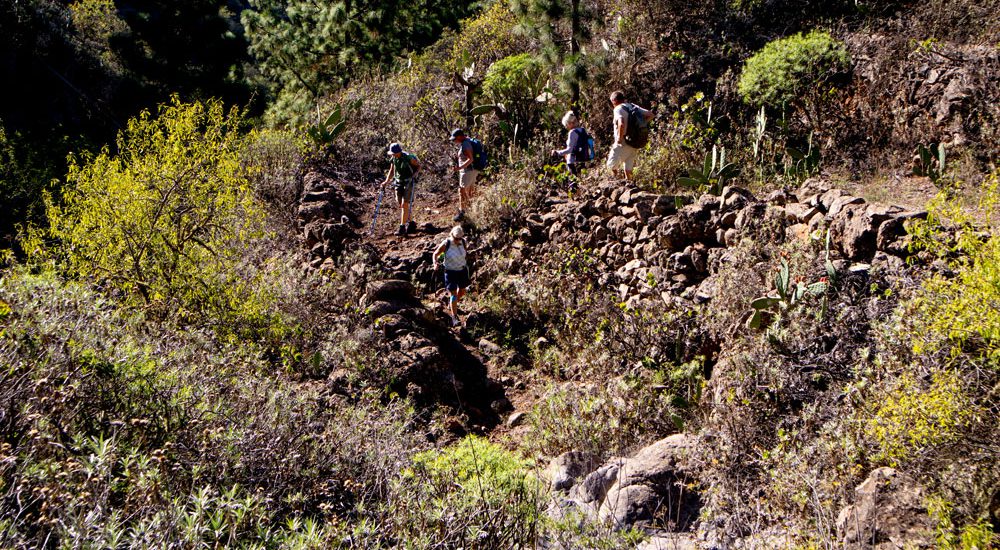 Abstieg in einen kleinen Barranco