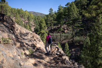 Wanderweg am Barranco entlang