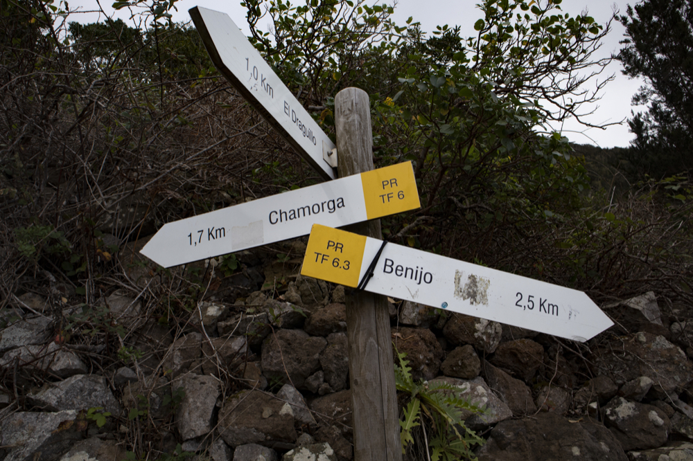 Wanderkreuzung TF 6 und TF 6.3 sowie El Draguillo