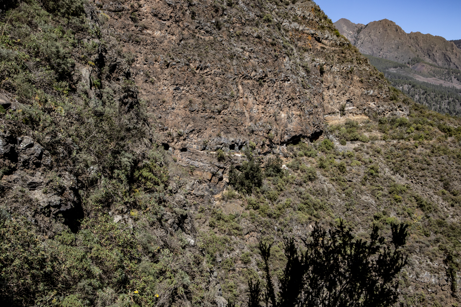 Ventanas de Güimar