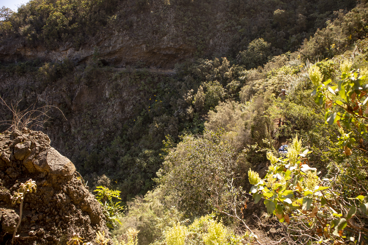 Blick in eine Schlucht zwischen dem Kanalweg