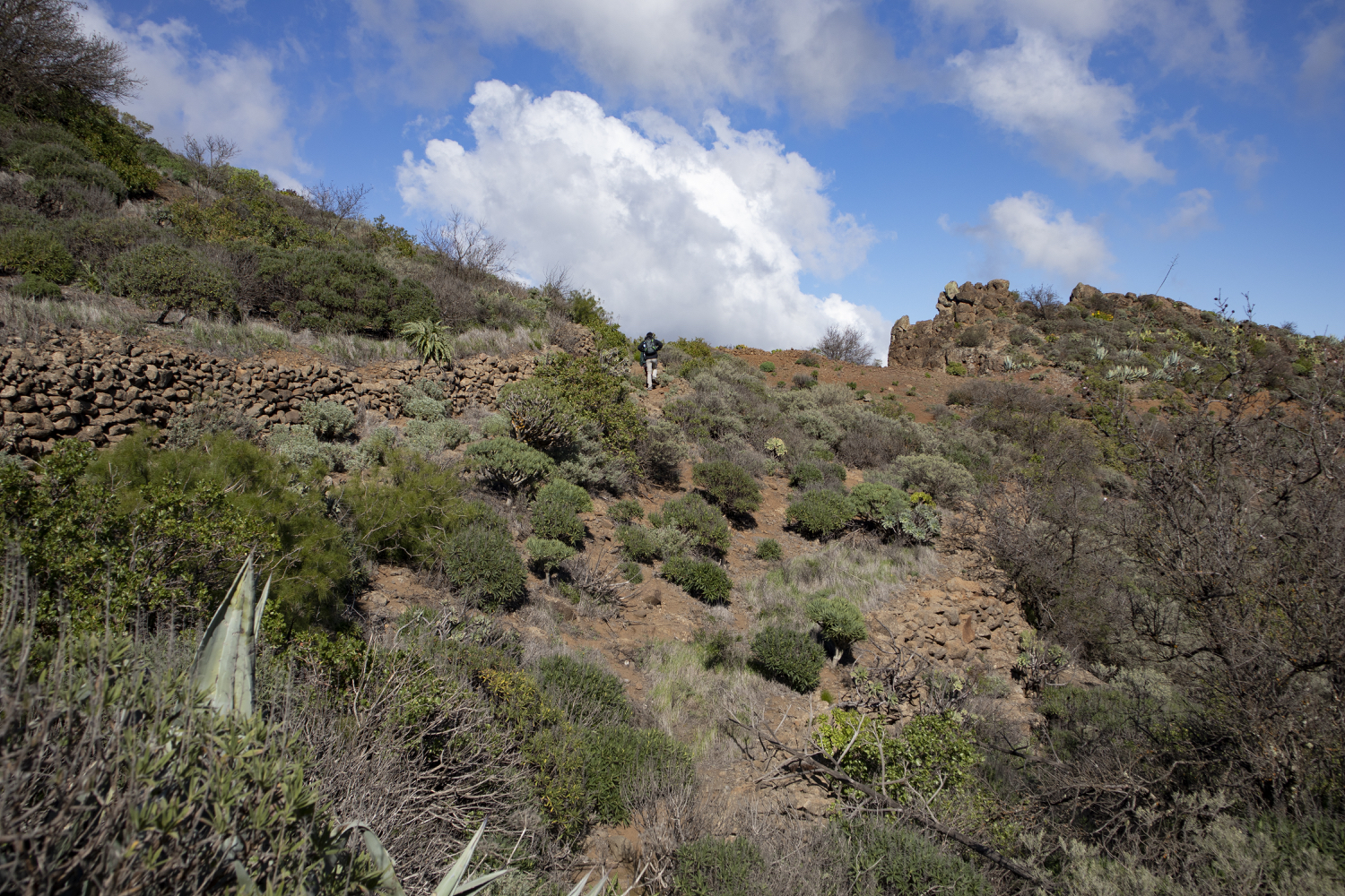 Wanderweg Barranco de Guayadeque