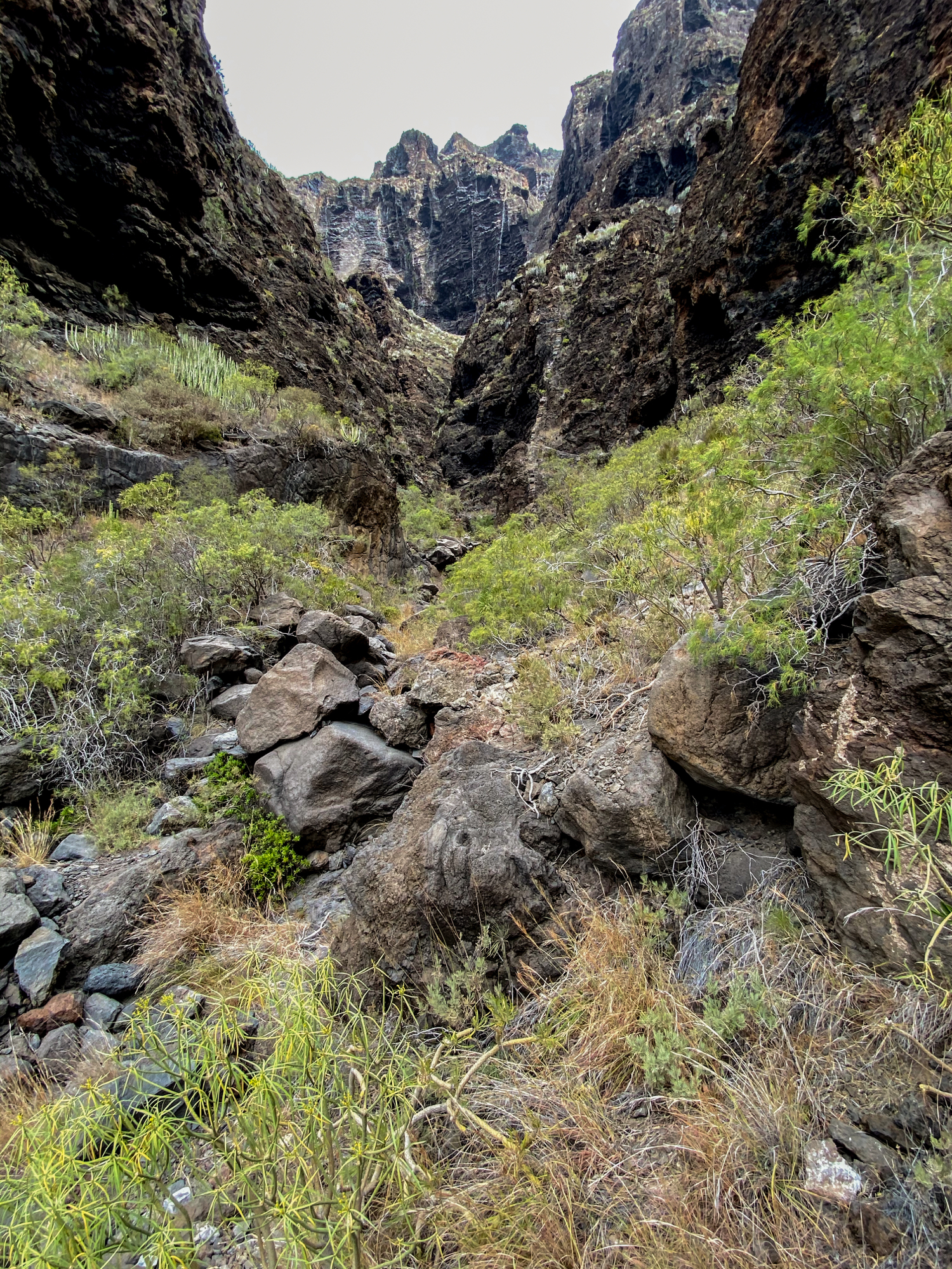 oberer Teil des Barranco Natero